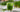 Wheatgrass Benefits: Gut Health and More
