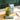 Hona Fiber + Greens Go-Packs (7 Servings)