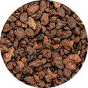 Chicory root